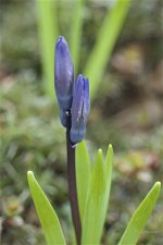 _AAA7266 - Version 2.jpg