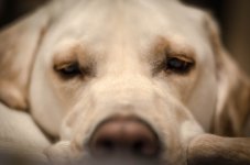20121227-DSC_0035.jpg