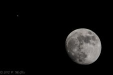 DSC_2463.jpg