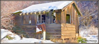sheep 148 Stitch.jpg