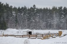 DSC_2505.jpg