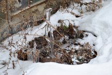 The Once and Future Icicles-130101-02_01.JPG