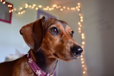DSC_0152.JPG