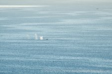_D8A3459.jpg