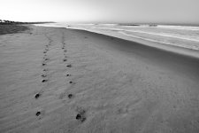 _N8D3280-Edit-4-3-sm.jpg