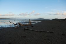 DSC_0332.JPG