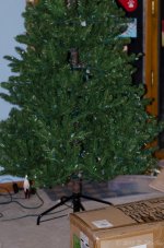 DSC_2683.jpg