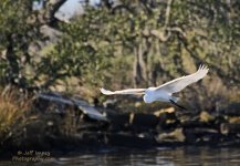 _DSC3160.jpg