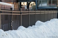 DSC_2712.jpg