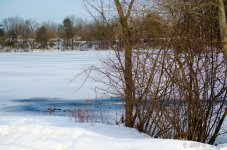 DSC_2705.jpg