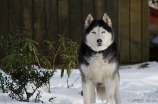 DSC_2710.jpg
