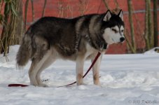 DSC_2711.jpg