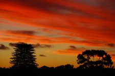 Sunset.jpg