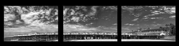 trippan-bw-sm.jpg