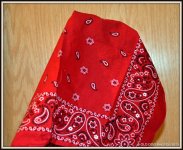 KERCHIEF 003.JPG