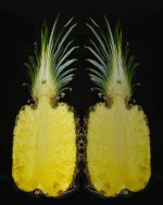 pineapple.jpg