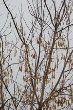 012 ByTheRailTrail-130112-03_01.JPG