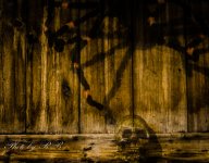 20130113-_1RB2510.jpg