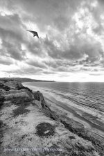 _D8A3560-Edit-Edit.jpg