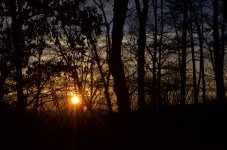 DSC_2190.jpg