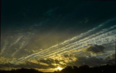DSC_0278.jpg