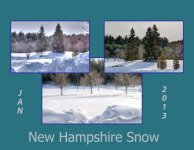 snow triptych.jpg