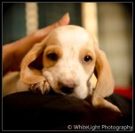20130113-dsc_6185.jpg