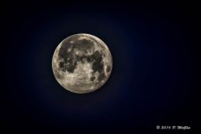 D71_9074-Edit.jpg