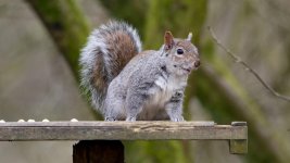 March 27, 2016-0267-Edit.jpg