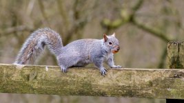 March 27, 2016-0281-Edit.jpg