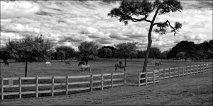 3-22-16 Tradewinds IR   Pano BW.jpg