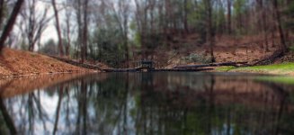 Bridge3.jpg