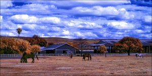 3-22-16 Tradewinds IR   15.jpg