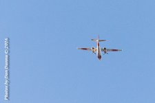 morning walk-4204.jpg