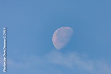 morning walk-4207.jpg