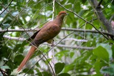 DSC_5963.jpg