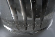 1MC_4252.jpg
