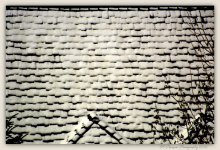 Snow on the Roof 3-29-2016.jpg