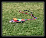 W_DSC_3153.jpg