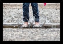 W_DSC_3186.jpg