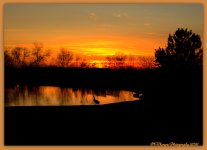 Sunset with Silhouetts  3-30-2016.jpg