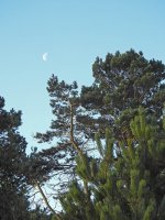 DSCN1667.jpg