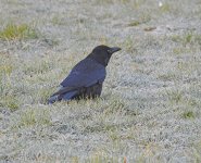 DSCN1671.jpg