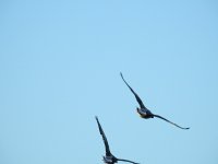 DSCN1677.jpg