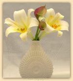 Easter Lillies and Calla Lillies 3-31-2016.jpg