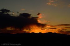 3-31-16-cr_DSC_3424.jpg