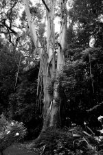The Bird Gardens.32.jpg