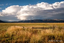 Lr6-9302-2.jpg