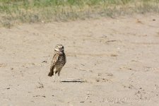 4-1-16-cr__D7K2658.jpg