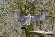 April 03, 2016-0143-Edit.jpg
